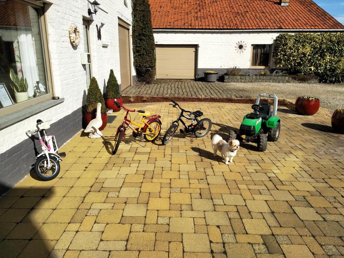 B&B Het Polderhof 자베크 외부 사진