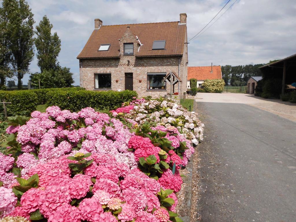B&B Het Polderhof 자베크 외부 사진